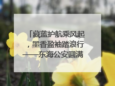 藏蓝护航乘风起，墨香盈袖踏浪行——东海公安圆满“交卷”