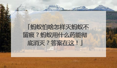 蚂蚁怕啥怎样灭蚂蚁不留痕？蚂蚁用什么药能彻底消灭？答案在这！