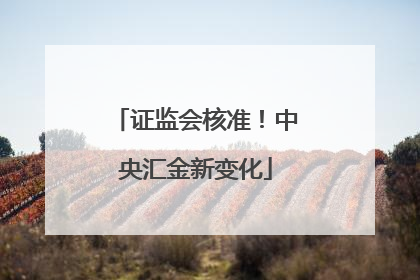 证监会核准！中央汇金新变化