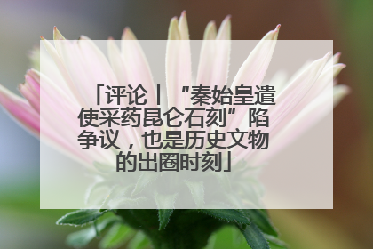 评论丨“秦始皇遣使采药昆仑石刻”陷争议，也是历史文物的出圈时刻