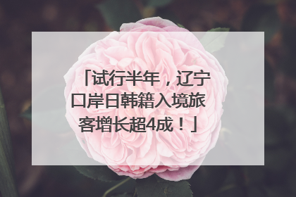 试行半年，辽宁口岸日韩籍入境旅客增长超4成！