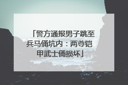 警方通报男子跳至兵马俑坑内：两尊铠甲武士俑损坏