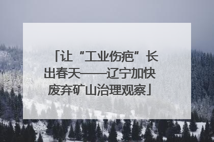 让“工业伤疤”长出春天——辽宁加快废弃矿山治理观察