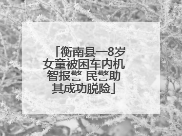 衡南县一8岁女童被困车内机智报警 民警助其成功脱险