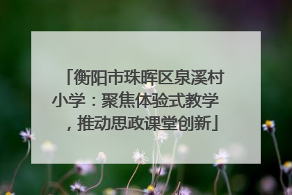 衡阳市珠晖区泉溪村小学：聚焦体验式教学，推动思政课堂创新