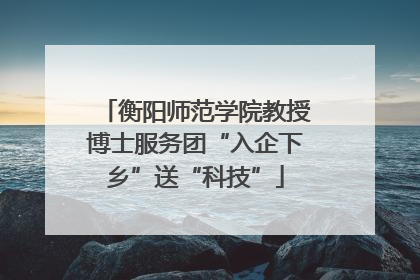 衡阳师范学院教授博士服务团“入企下乡”送“科技”