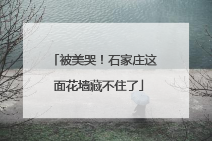 被美哭！石家庄这面花墙藏不住了
