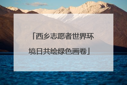 西乡志愿者世界环境日共绘绿色画卷