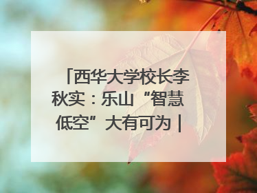 西华大学校长李秋实：乐山“智慧低空”大有可为｜西望四川