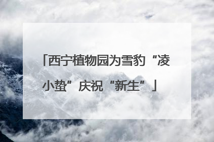 西宁植物园为雪豹“凌小蛰”庆祝“新生”
