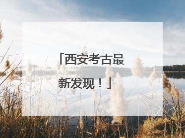 西安考古最新发现！