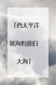 西太平洋斑海豹放归大海