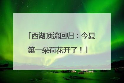 西湖顶流回归：今夏第一朵荷花开了！