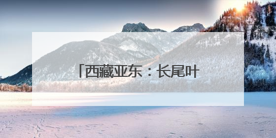 西藏亚东：长尾叶猴下山“会客”