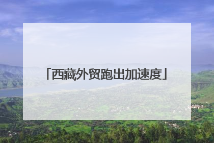 西藏外贸跑出加速度