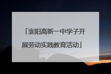 襄阳高新一中学子开展劳动实践教育活动