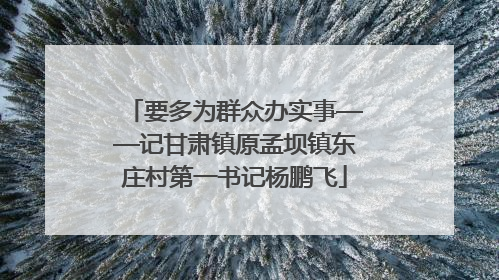 要多为群众办实事——记甘肃镇原孟坝镇东庄村第一书记杨鹏飞