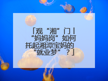 观“湘”门丨“妈妈岗”如何托起湘潭宝妈的“就业梦”？