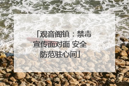 观音阁镇：禁毒宣传面对面 安全防范驻心间