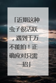 近期这种虫子很活跃，遇到千万不能拍！正确应对只需一招