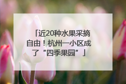 近20种水果采摘自由！杭州一小区成了“四季果园”