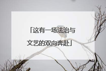 这有一场法治与文艺的双向奔赴