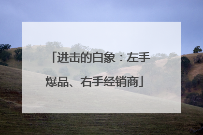 进击的白象：左手爆品、右手经销商