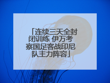 连续三天全封闭训练 伊万考察国足客战印尼队主力阵容