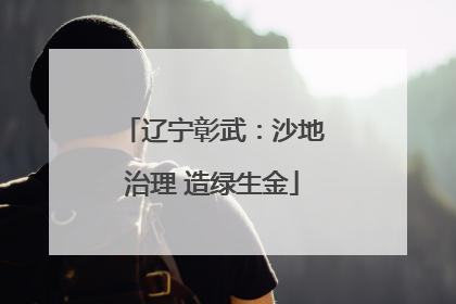 辽宁彰武：沙地治理 造绿生金