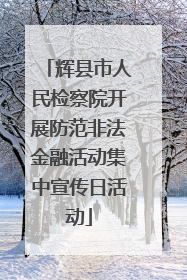 辉县市人民检察院开展防范非法金融活动集中宣传日活动