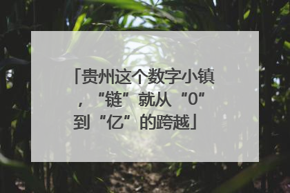 贵州这个数字小镇，“链”就从“0”到“亿”的跨越