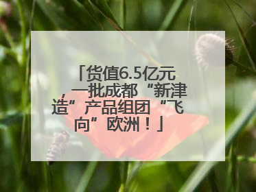 货值6.5亿元，一批成都“新津造”产品组团“飞向”欧洲！