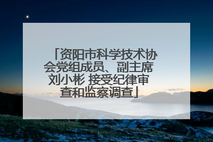 资阳市科学技术协会党组成员、副主席刘小彬 接受纪律审查和监察调查