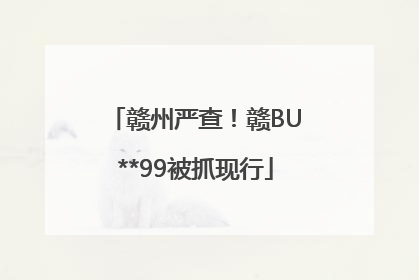 赣州严查！赣BU**99被抓现行