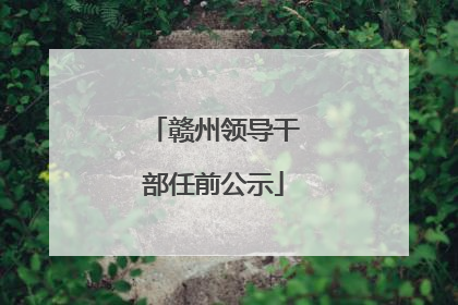 赣州领导干部任前公示