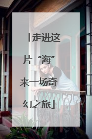 走进这片“海”来一场奇幻之旅