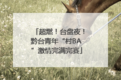 超燃！台盘夜！黔台青年“村BA”激情完满完赛