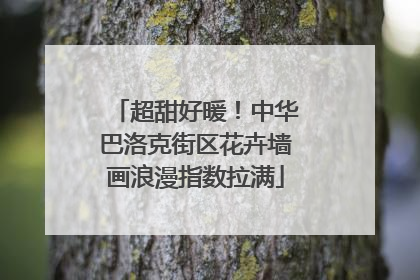 超甜好暖！中华巴洛克街区花卉墙画浪漫指数拉满