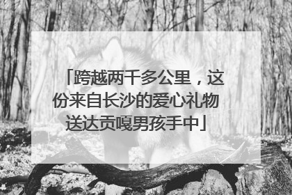 跨越两千多公里，这份来自长沙的爱心礼物送达贡嘎男孩手中