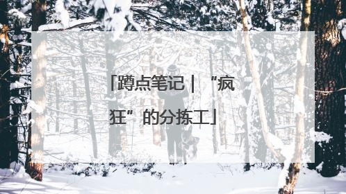 蹲点笔记｜“疯狂”的分拣工