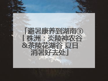 避暑康养到湖南③丨株洲：炎陵神农谷&茶陵花湖谷 夏日消暑好去处