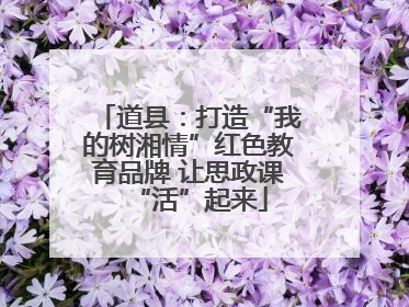 道县：打造“我的树湘情”红色教育品牌 让思政课“活”起来