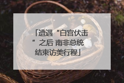 遭遇“白宫伏击”之后 南非总统结束访美行程