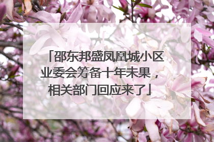 邵东邦盛凤凰城小区业委会筹备十年未果，相关部门回应来了