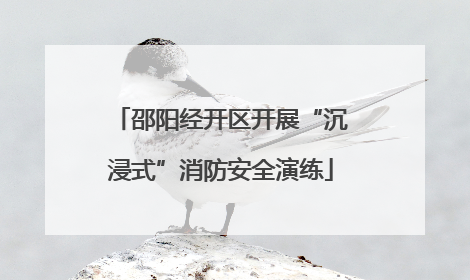 邵阳经开区开展“沉浸式”消防安全演练