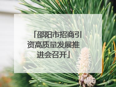 邵阳市招商引资高质量发展推进会召开
