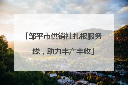 邹平市供销社扎根服务一线，助力丰产丰收