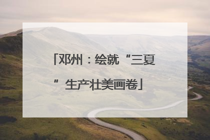 邓州：绘就“三夏”生产壮美画卷