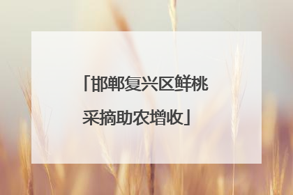 邯郸复兴区鲜桃采摘助农增收