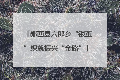 郧西县六郎乡“银茧”织就振兴“金路”